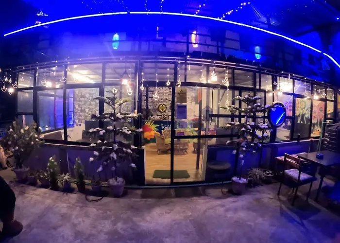 Big Tree Hostel *