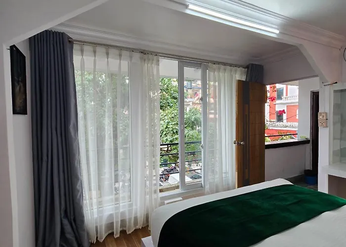 Big Tree Hostel