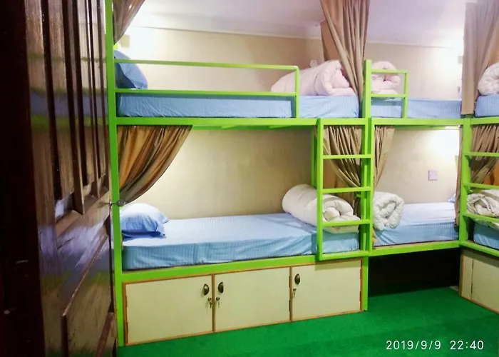 Hostel Big Tree *