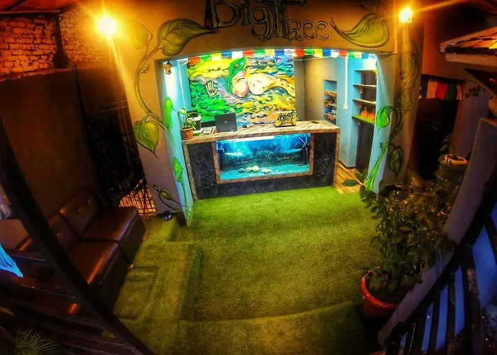 Big Tree Hostel