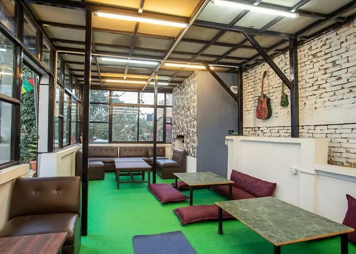 Hostel Big Tree