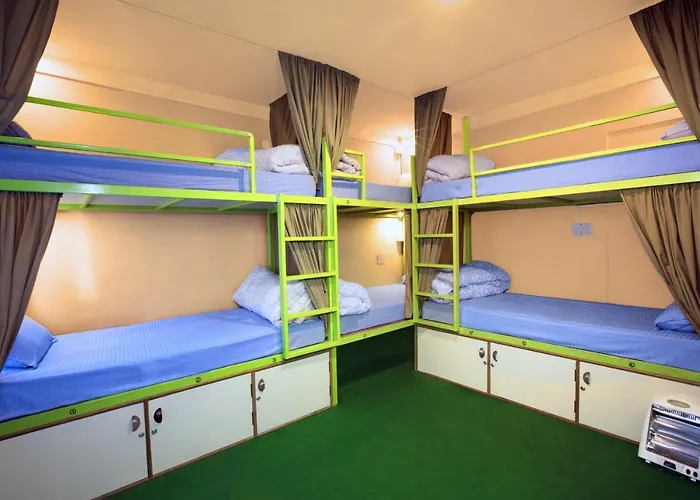 Hostel Big Tree *