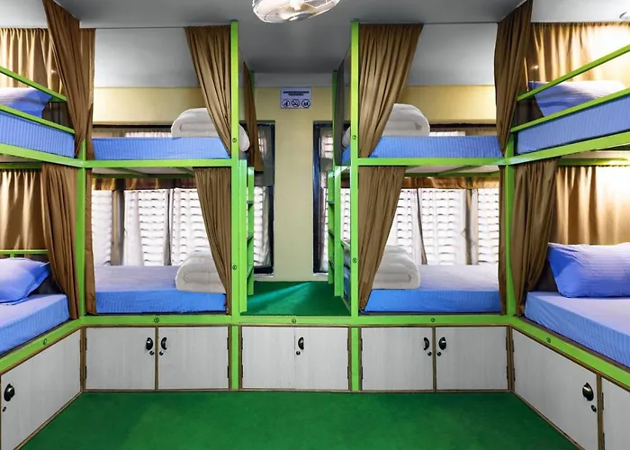 Big Tree Hostel *